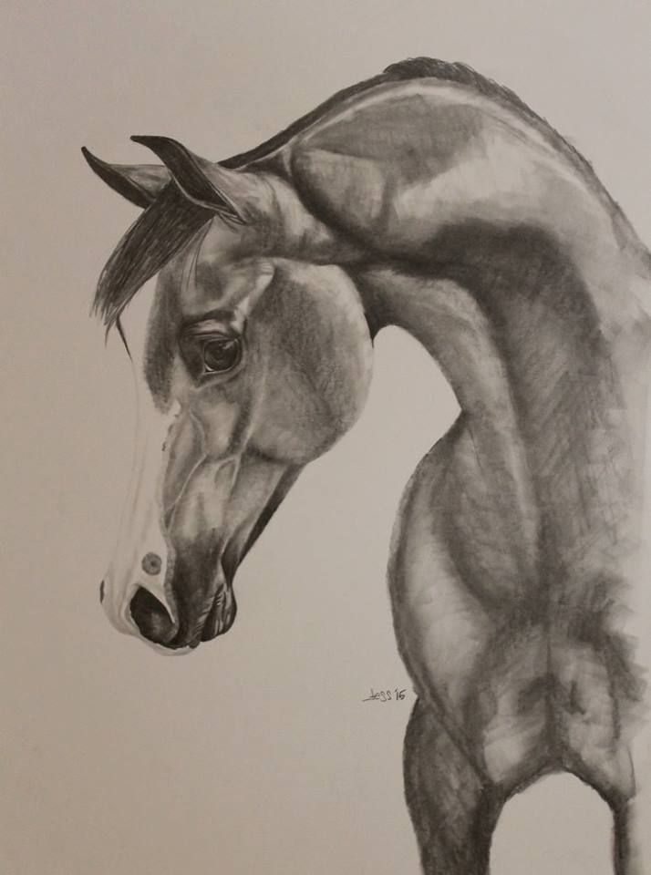 JM Equine Art